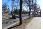 Paskelbtas gatvių remonto konkursas