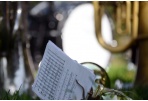 Į Muzikos mokyklą priimami vaikai