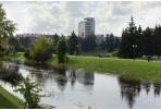 Numatomi renginiai