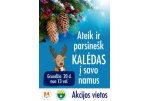 Po savaitės nemokamai dalins eglių šakas 