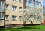 Gegužę šiluma kainuos mažiau