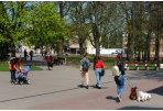 Panevėžiečiai kviečiami dalyvauti virtualioje  kalbos viktorinoje