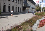 Vertinant žmogaus negalią labiau įsitrauks savivaldybės
