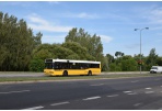 Po miesto gimtadienio renginių namo veš specialūs autobusai