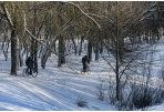Panevėžys atsinaujina! Miestui naudotis atiduodamas Kultūros ir poilsio parkas