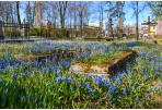 Siūloma galbūt neprižiūrimas kapavietes pažymėti informacinėmis lentelėmis