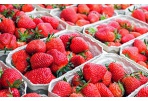 Savivaldybė paprašė palankesnių sąlygų prekiaujantiems žemės ūkio produkcija
