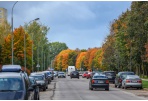 Lapkričio 1 - 2 dienomis – nemokamas viešasis transportas