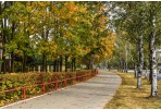 Pasirūpinkime žaliosiomis atliekomis