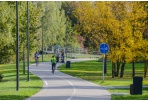 Laisvalaikio idėjos