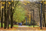 12 patarimų, kaip sumažinti stresą COVID-19 metu