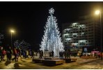 Panevėžyje sužibo Kalėdų eglė