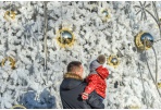 Panevėžio miesto demografija 2020-aisiais