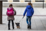 Į miesto mokyklas sugrįžo dalis pradinukų