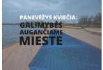 Panevėžys kviečia sugrįžti į Norvegiją išvykusius lietuvius
