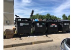 Panevėžiečiai, rūpinkimės savo aplinka!