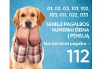 Lietuvoje liks tik vienas skubiosios pagalbos telefono ryšio numeris – 112