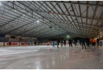 Ledo arena vėl džiugins panevėžiečius