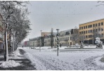 Tarptautinės žmonių su negalia dienos proga – dovana