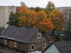 Aurėjos Juškevičiūtės nuotr.