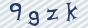 secimg