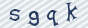 secimg