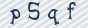 secimg